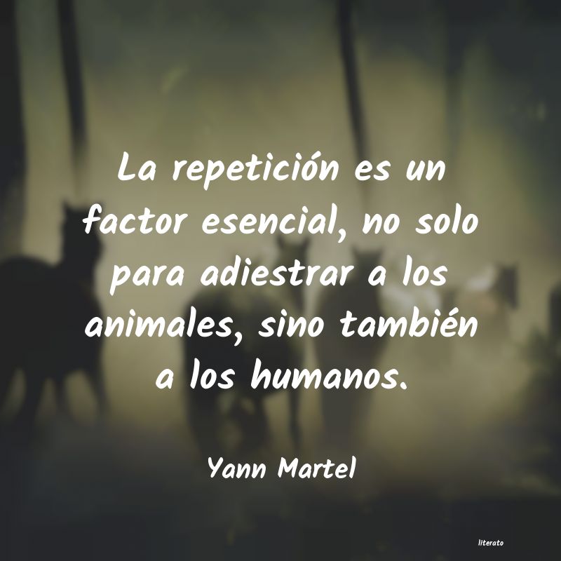 frases de Yann Martel