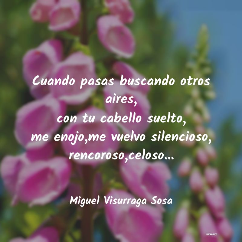 Frases de Miguel Visurraga Sosa