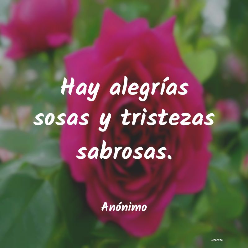 frases