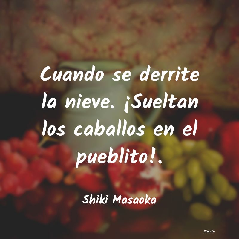 Frases de Shiki Masaoka