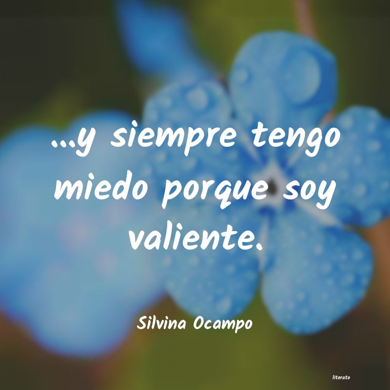 Frases de Silvina Ocampo