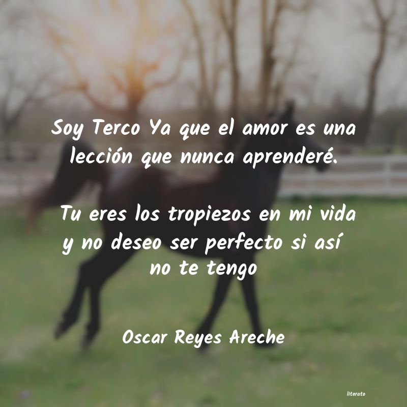 Frases de Oscar Reyes Areche