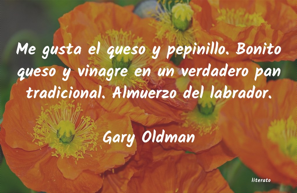 frases de Gary Oldman