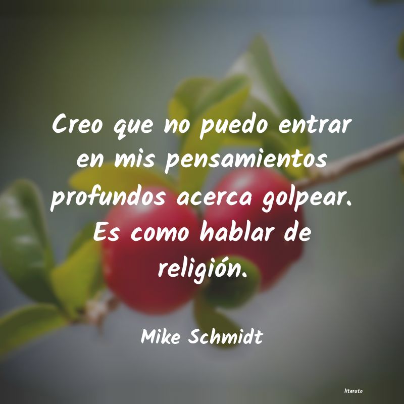 Frases de Mike Schmidt