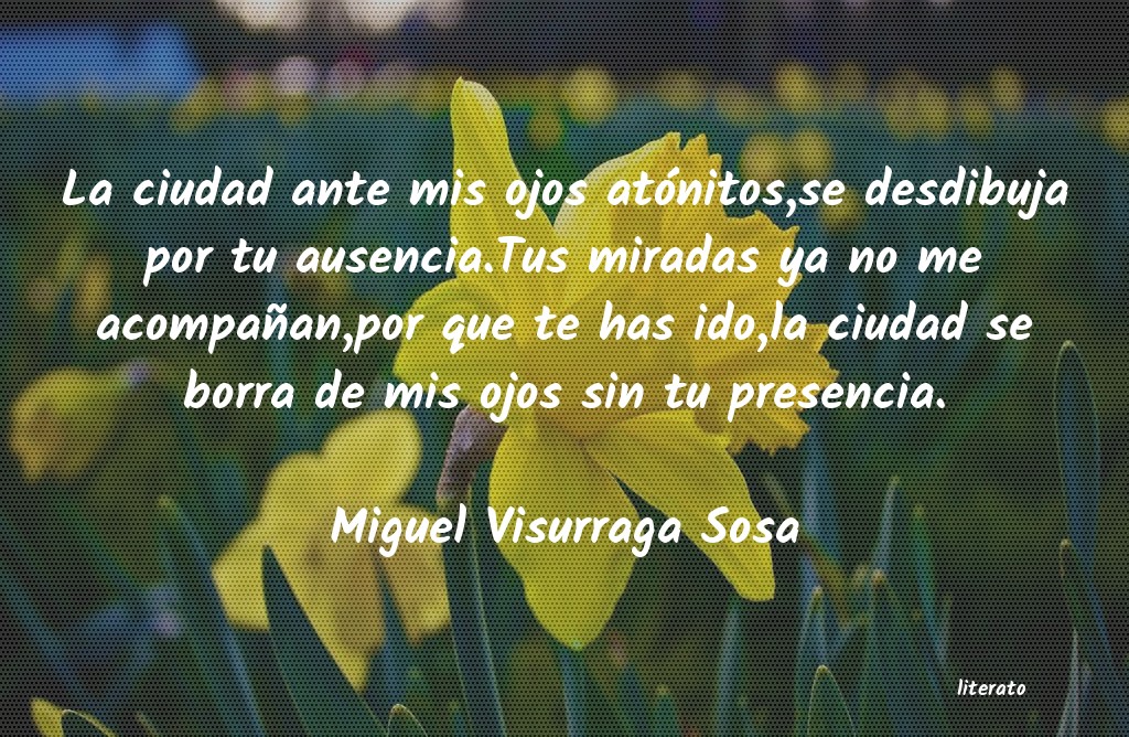 Frases de Miguel Visurraga Sosa