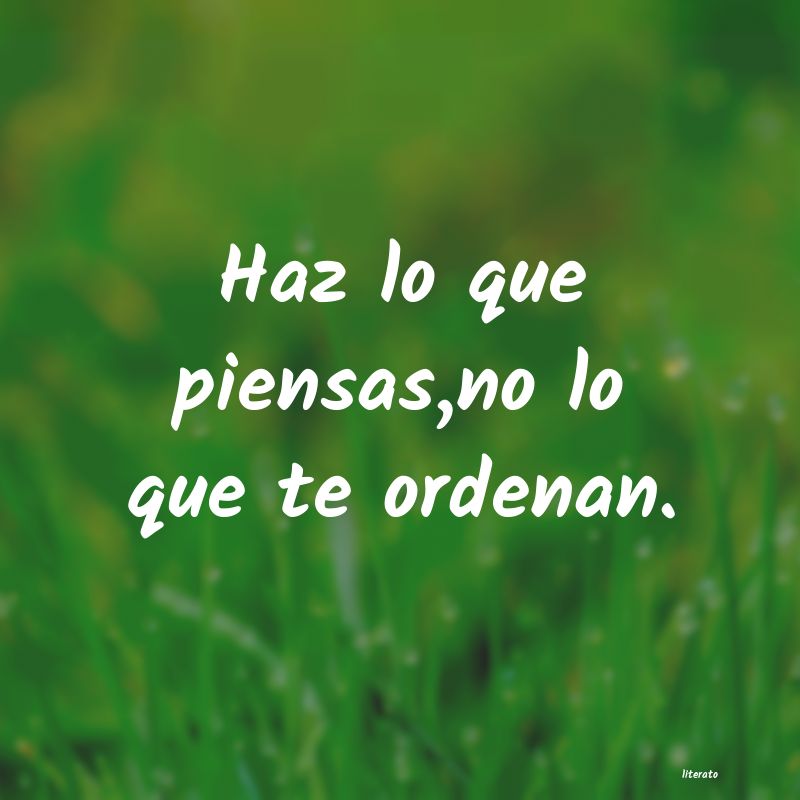 frases