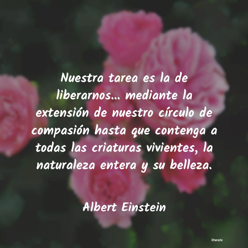 frases de Albert Einstein