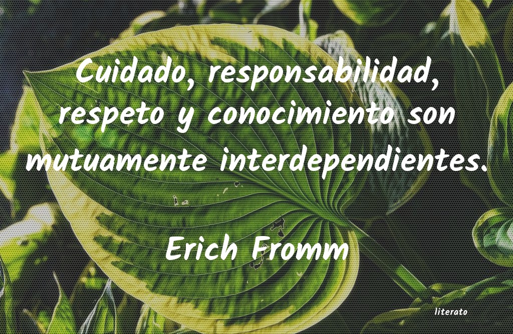 Frases de Erich Fromm