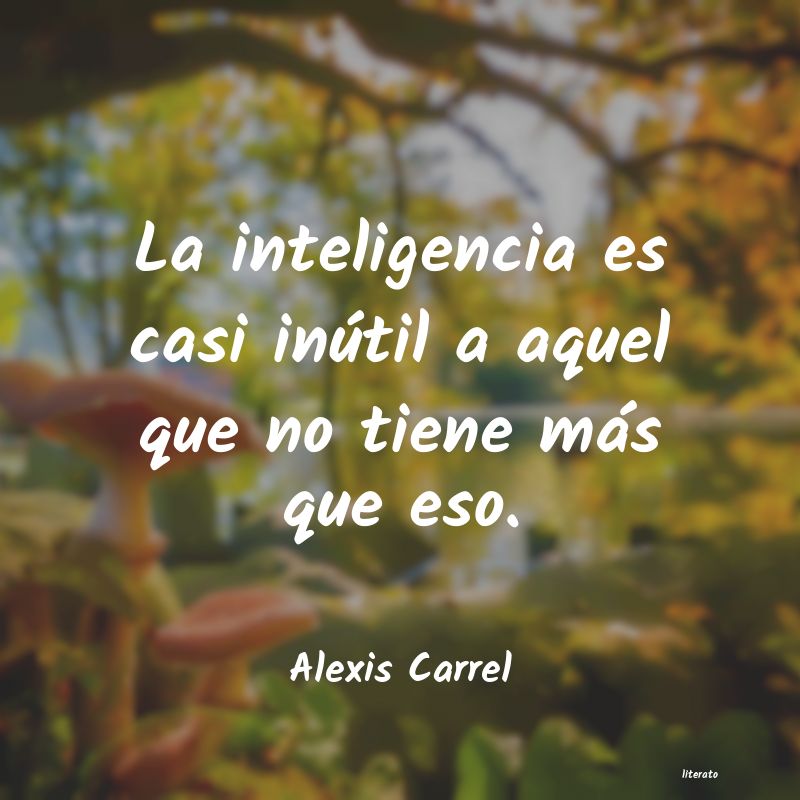 frases de Alexis Carrel