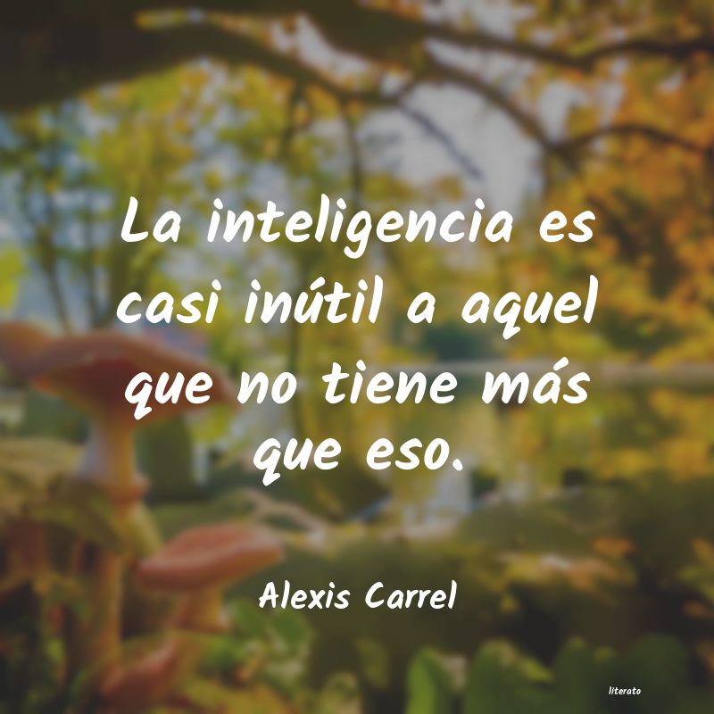 Frases de Alexis Carrel