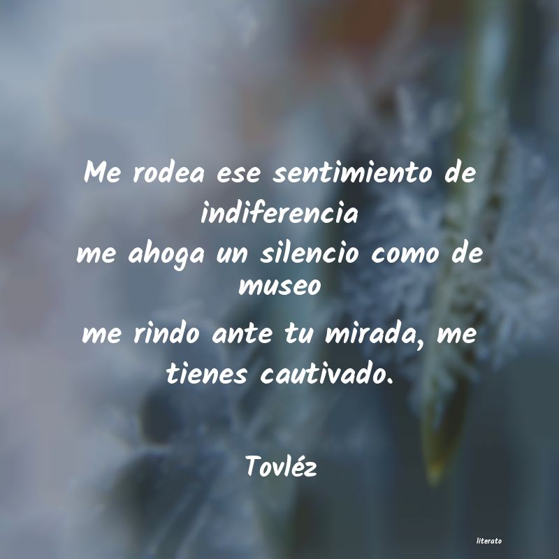 frases de Tovléz