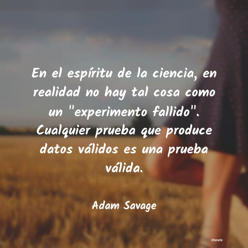 Frases de Adam Savage