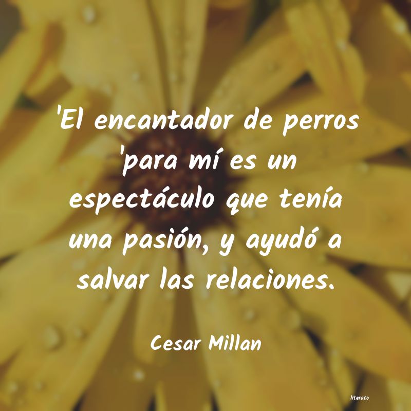 Frases de Cesar Millan