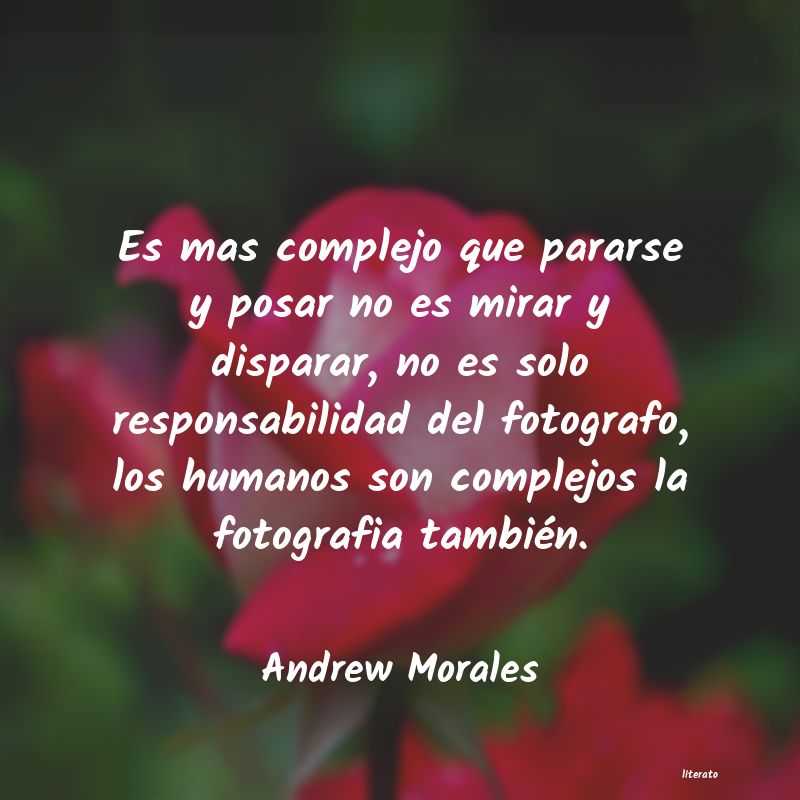 Frases de Andrew Morales