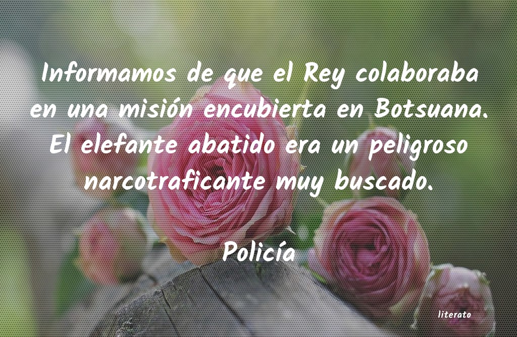 Frases de Policía