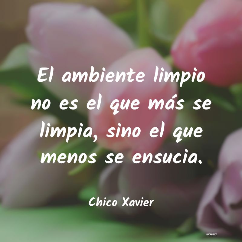 frases de Chico Xavier