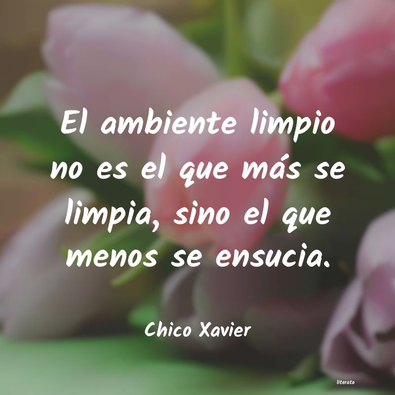 Frases de Chico Xavier