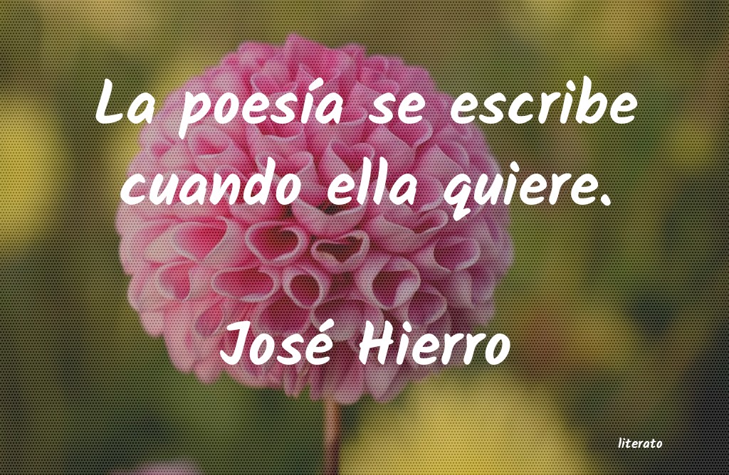 frases de JosÃ© Hierro