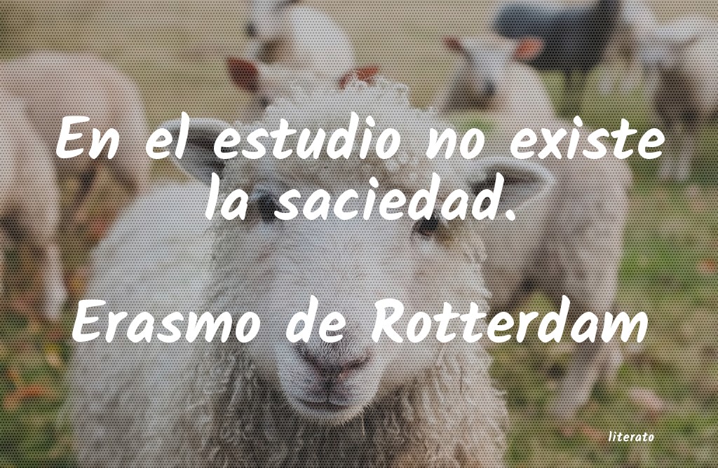 frases de Erasmo de Rotterdam