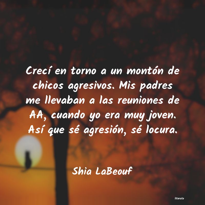 frases de Shia LaBeouf