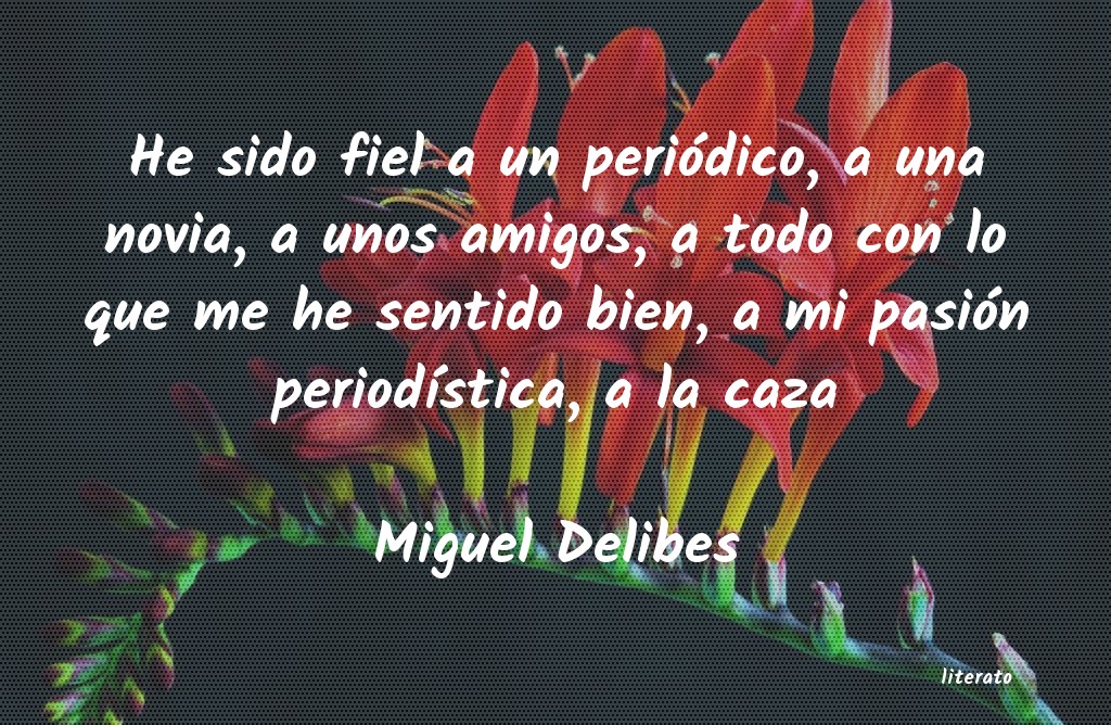 Frases de Miguel Delibes