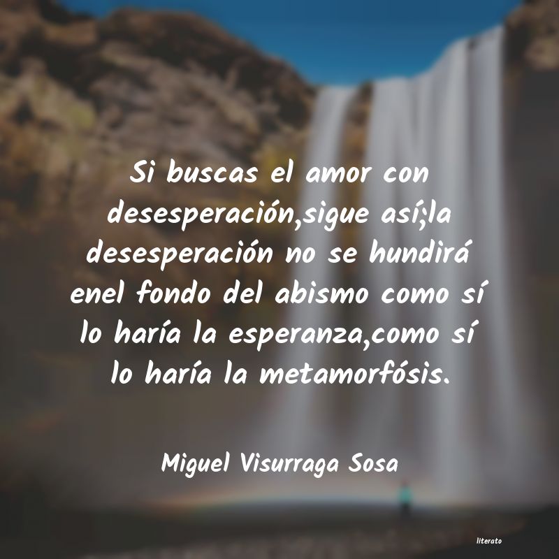 Frases de Miguel Visurraga Sosa