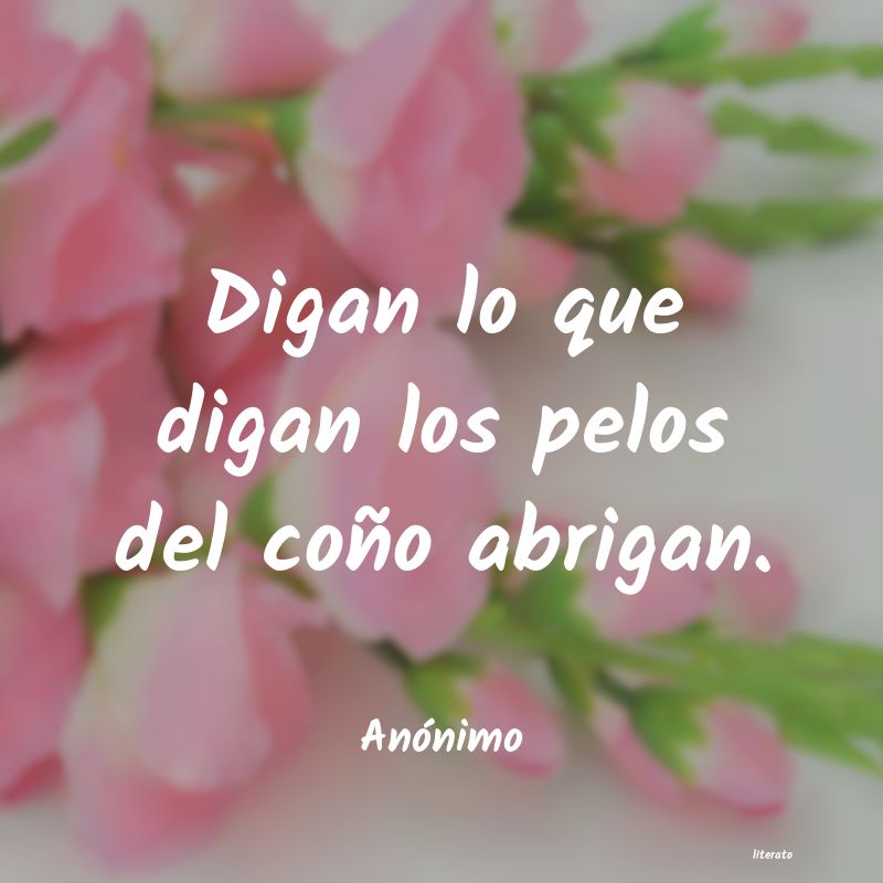 frases
