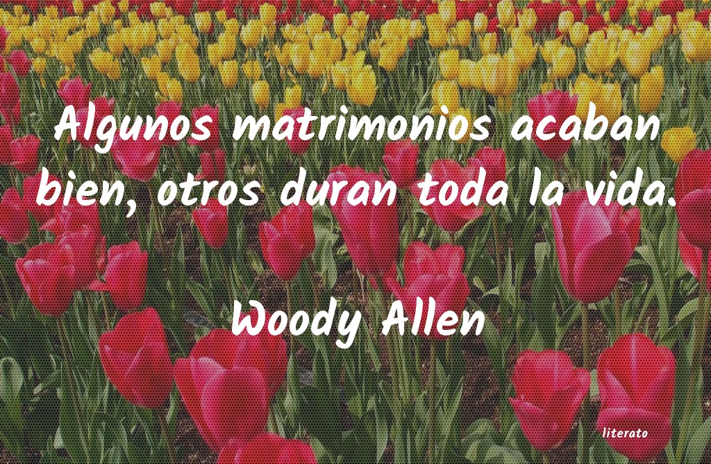 Frases de Woody Allen