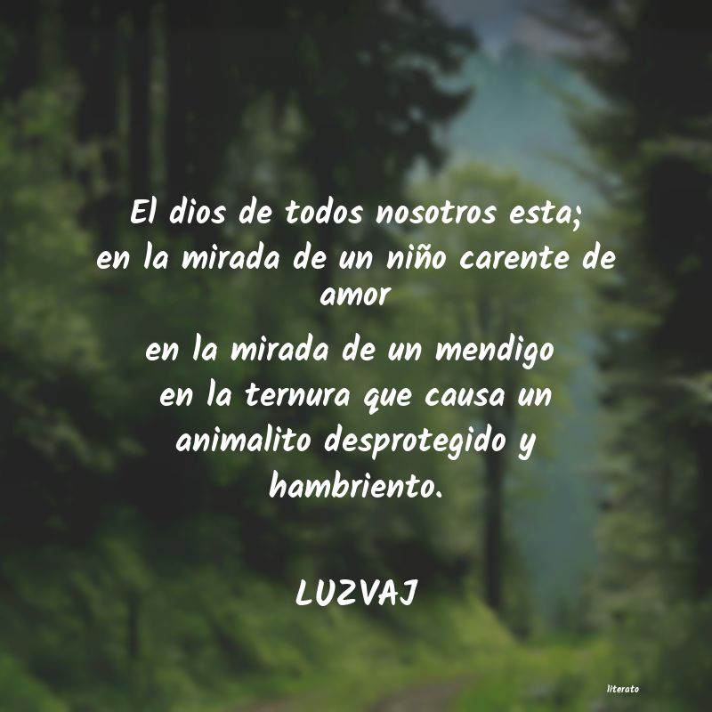 Frases de LUZVAJ