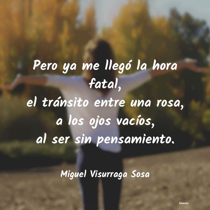 Frases de Miguel Visurraga Sosa