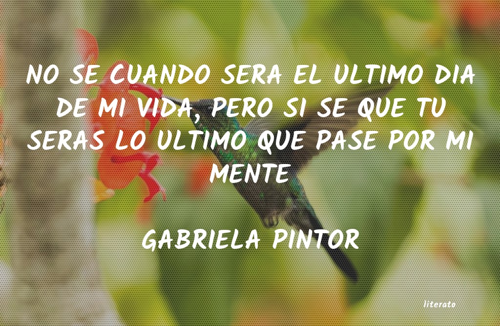 frases de GABRIELA PINTOR