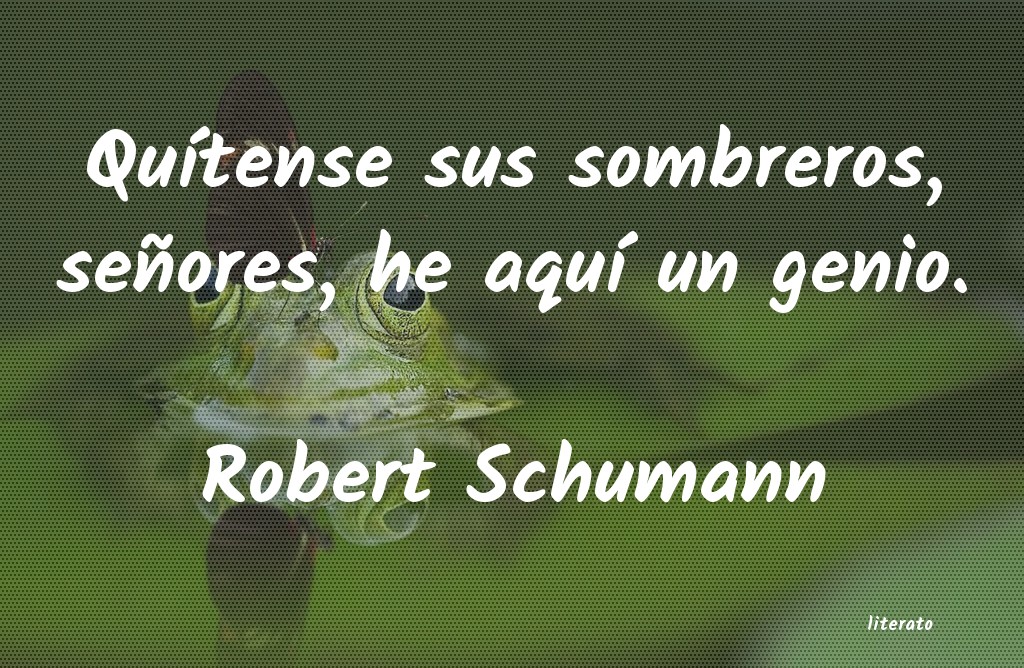 Frases de Robert Schumann