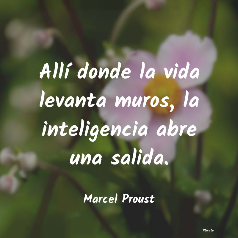 Frases de Marcel Proust