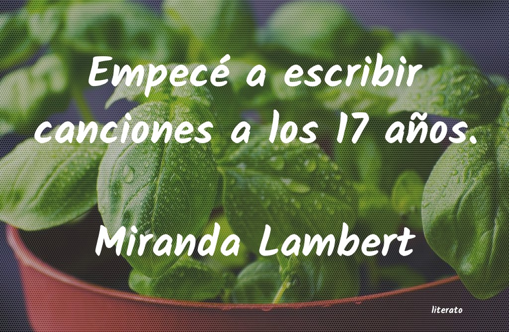 Frases de Miranda Lambert