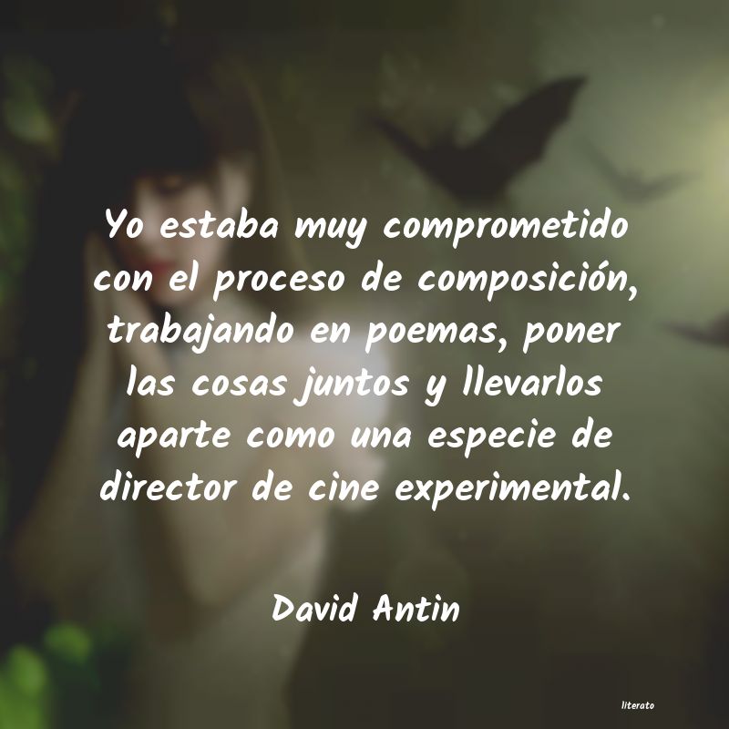 Frases de David Antin