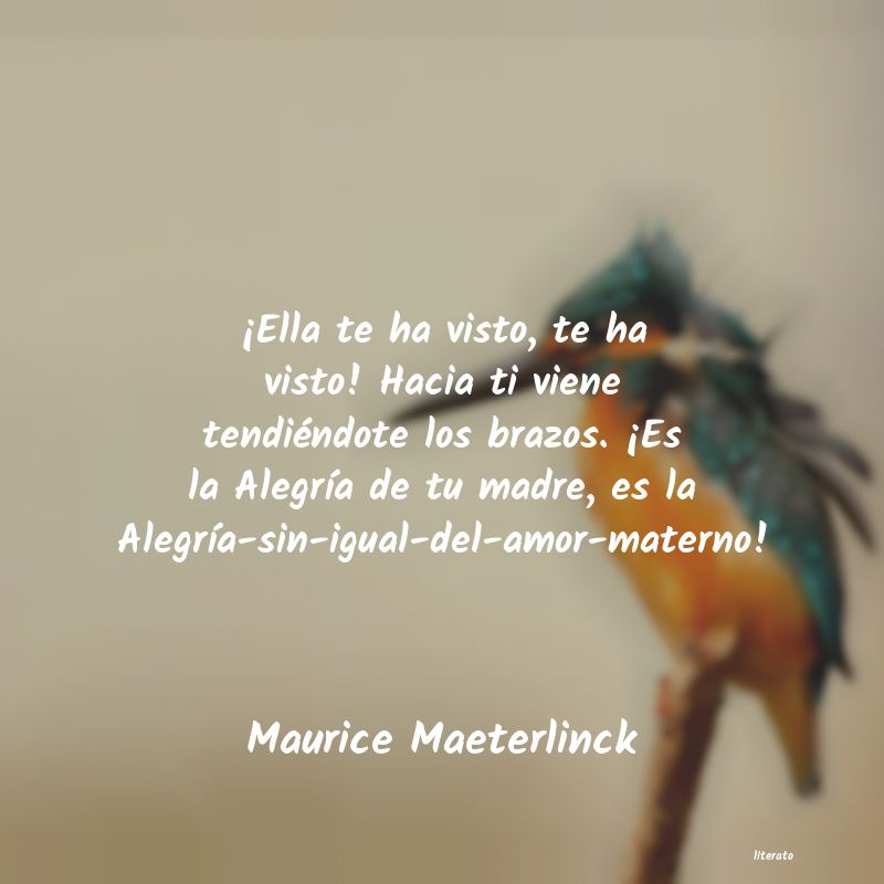 frases de Maurice Maeterlinck