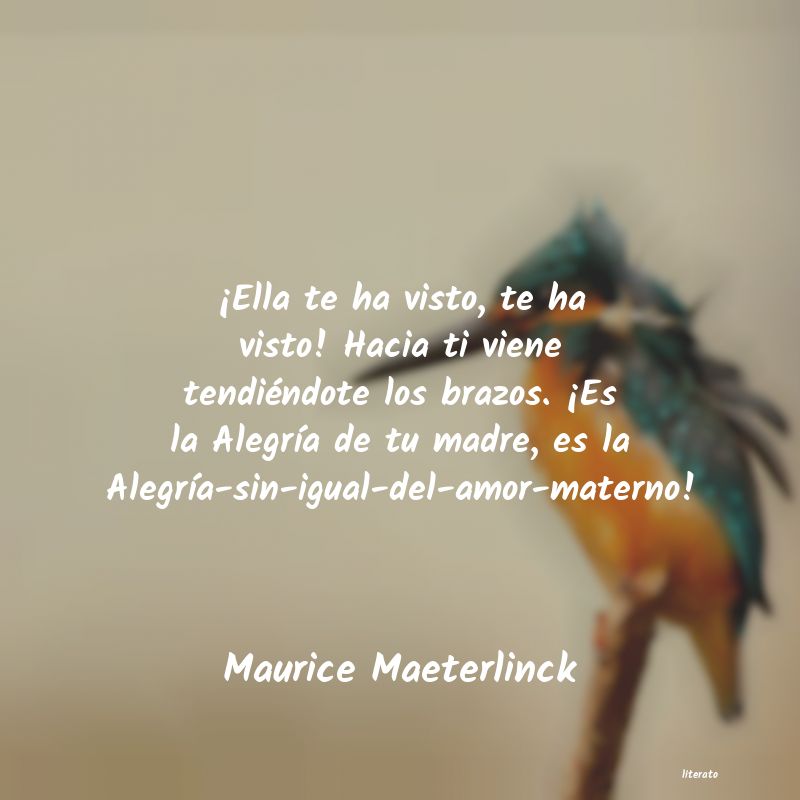 Frases de Maurice Maeterlinck