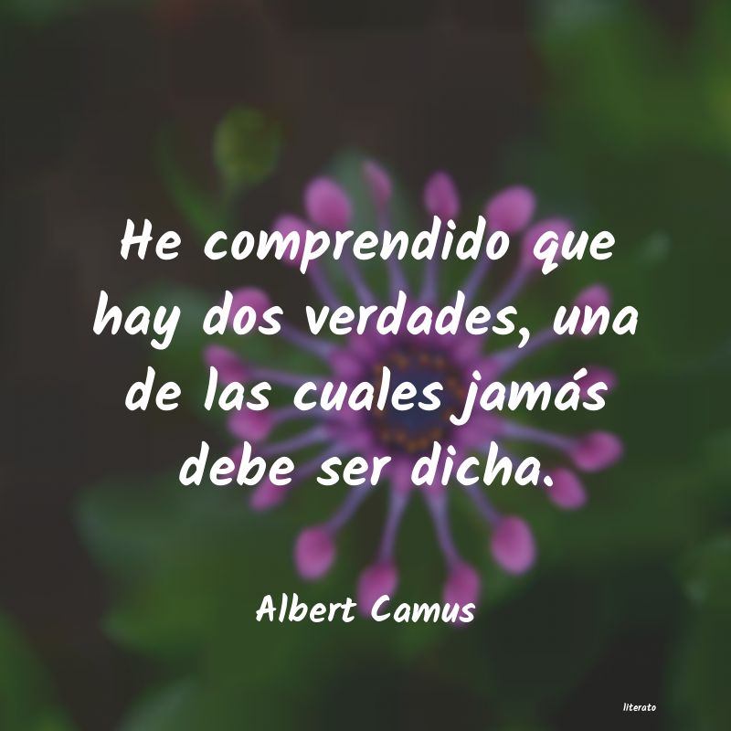 Frases de Albert Camus