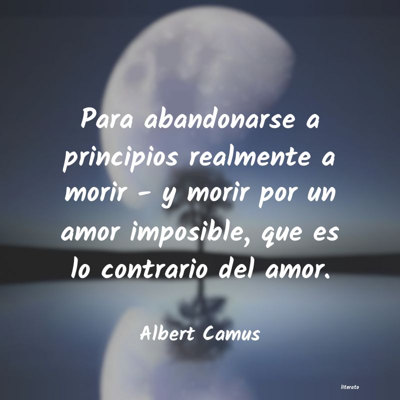 Frases de Albert Camus