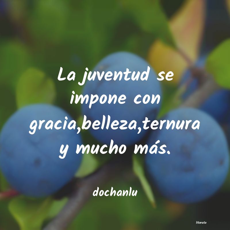 Frases de dochanlu