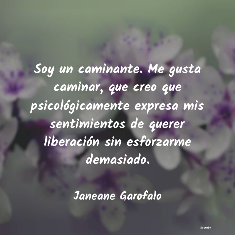 Frases de Janeane Garofalo