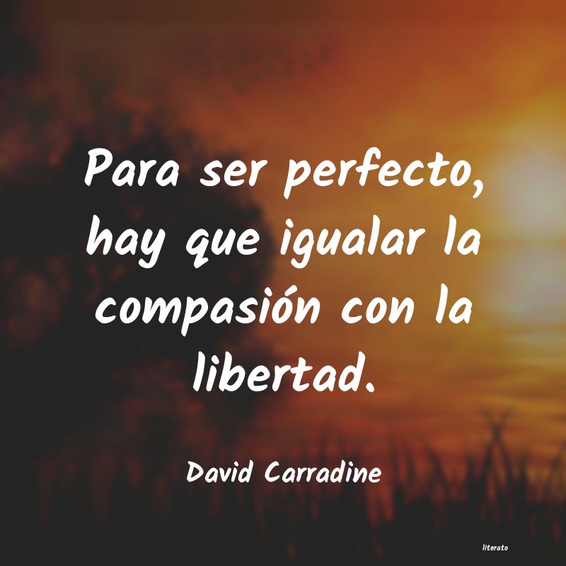 Frases de David Carradine