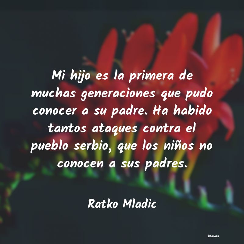 Frases de Ratko Mladic