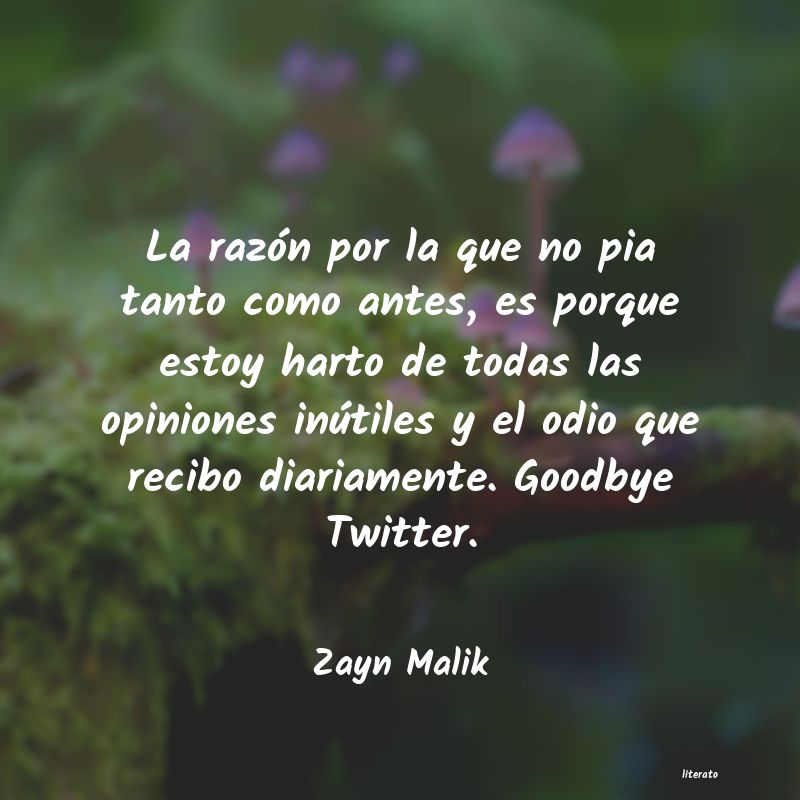 Frases de Zayn Malik