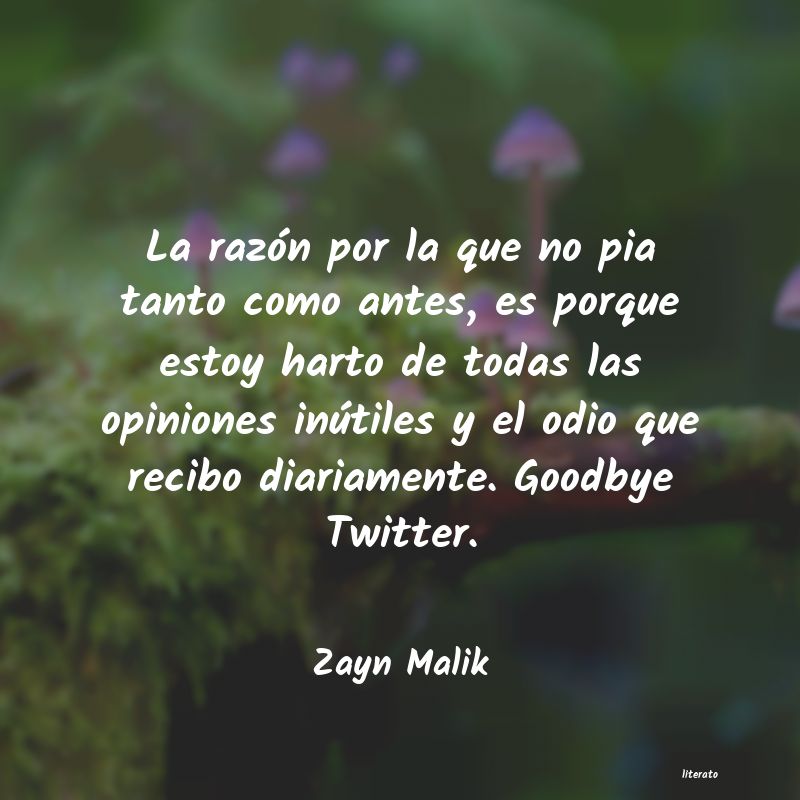 frases de Zayn Malik