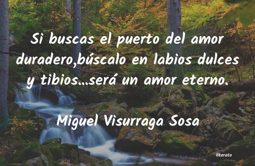 frases de Miguel Visurraga Sosa