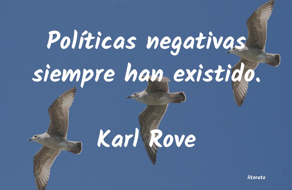 frases de Karl Rove