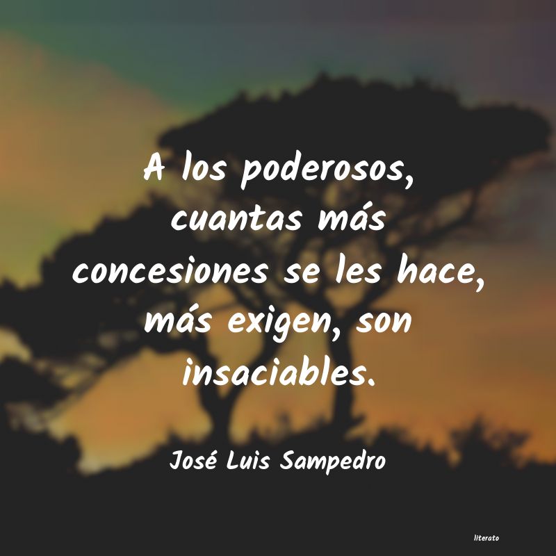 Frases de José Luis Sampedro