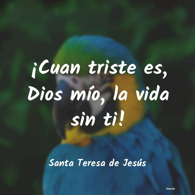 frases de Santa Teresa de Jesús
