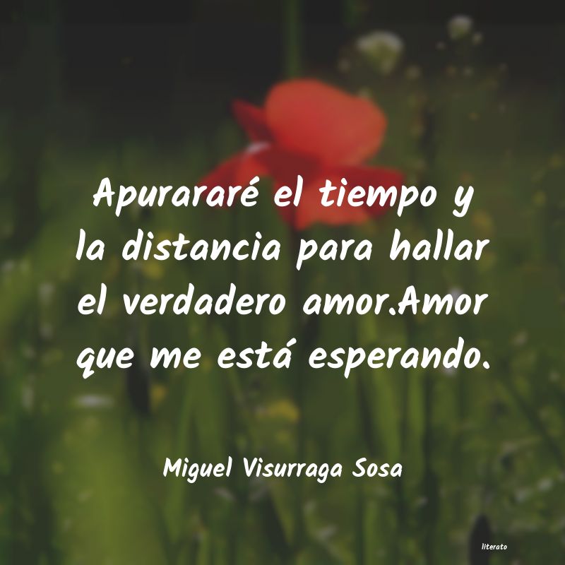 frases de Miguel Visurraga Sosa